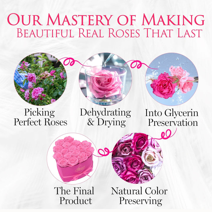 BarBe Heart Box |16 Pink Roses - theglamourboutiques
