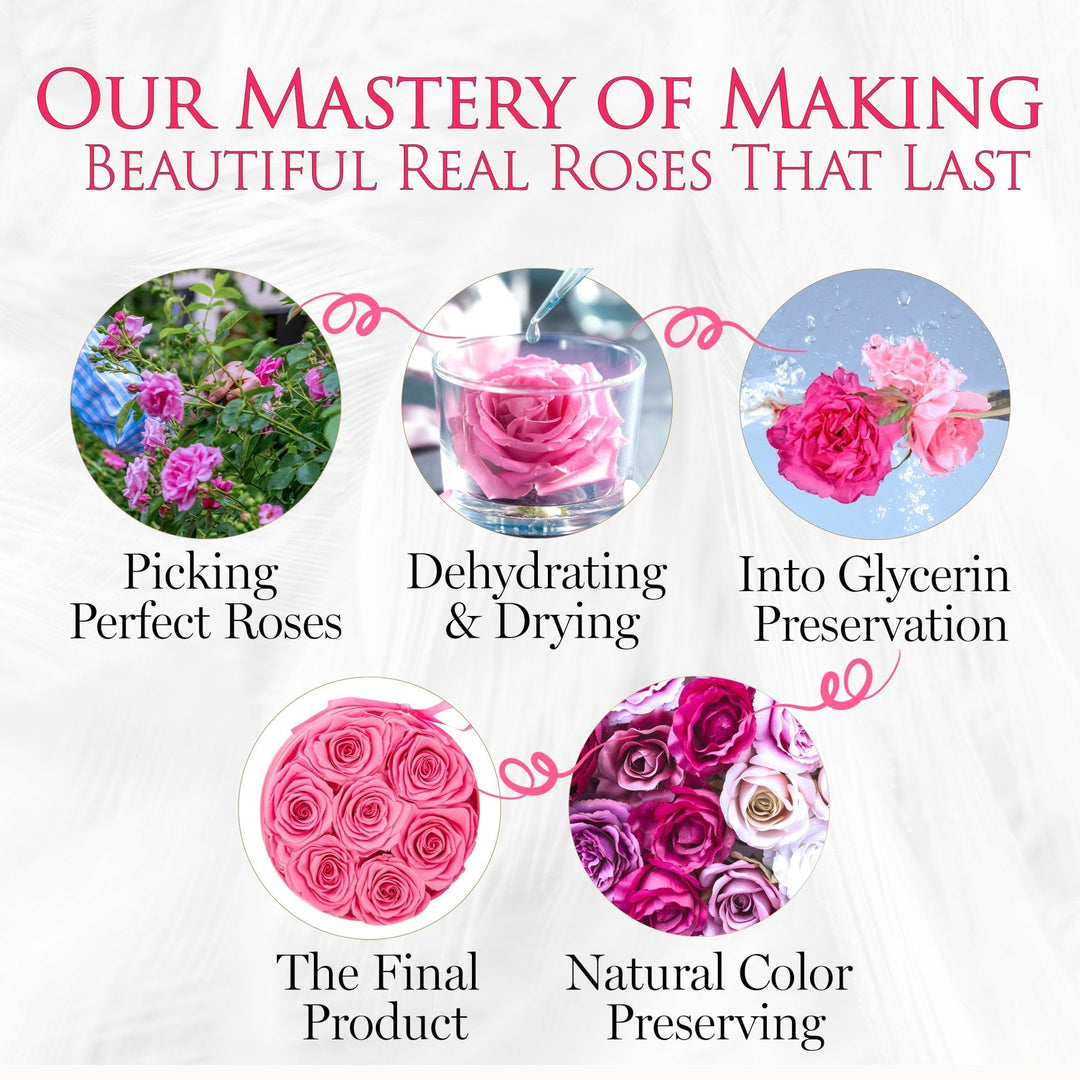 BarBe Round Box | 7 Pink Roses - theglamourboutiques