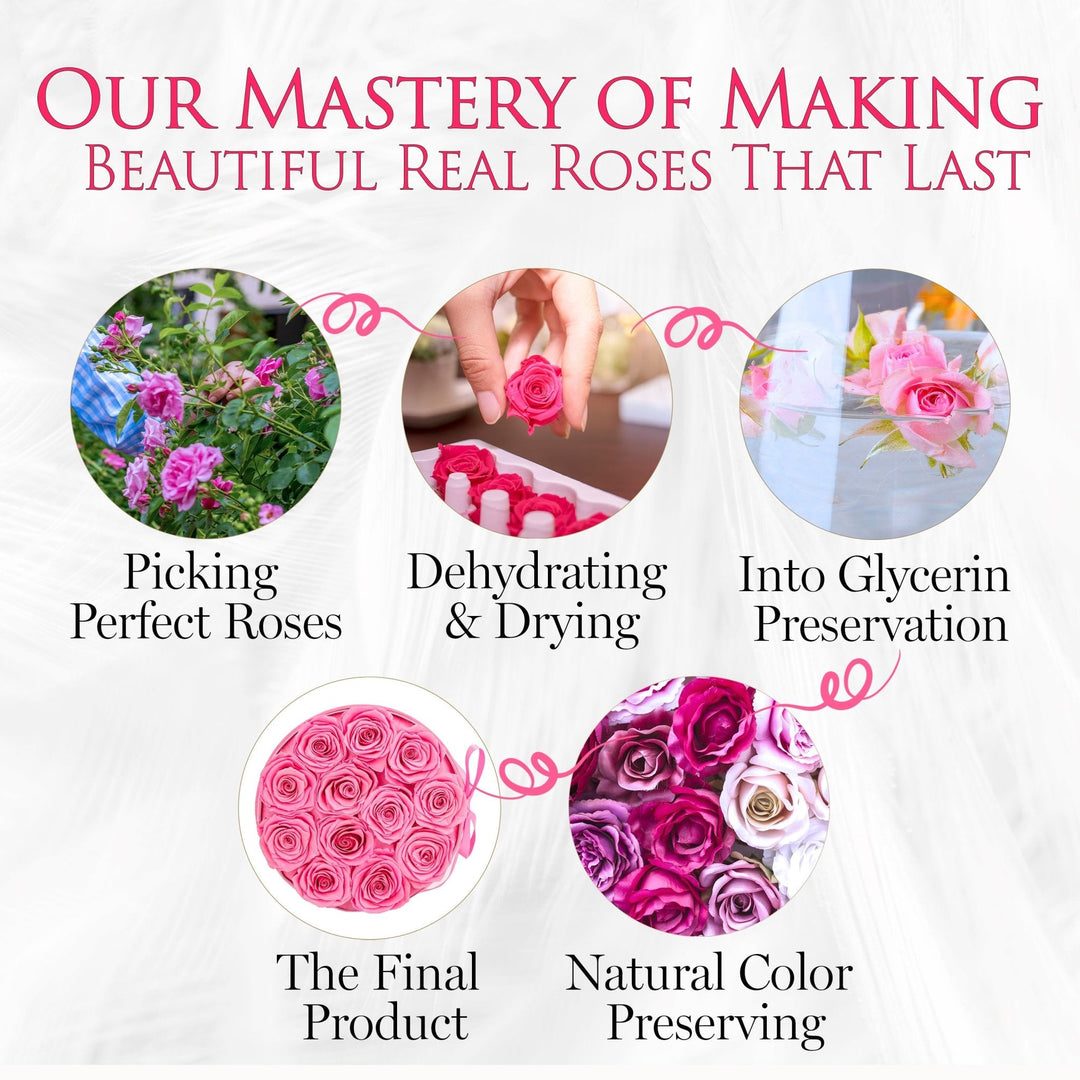 BarBe Velvet |12 Pink Roses - theglamourboutiques
