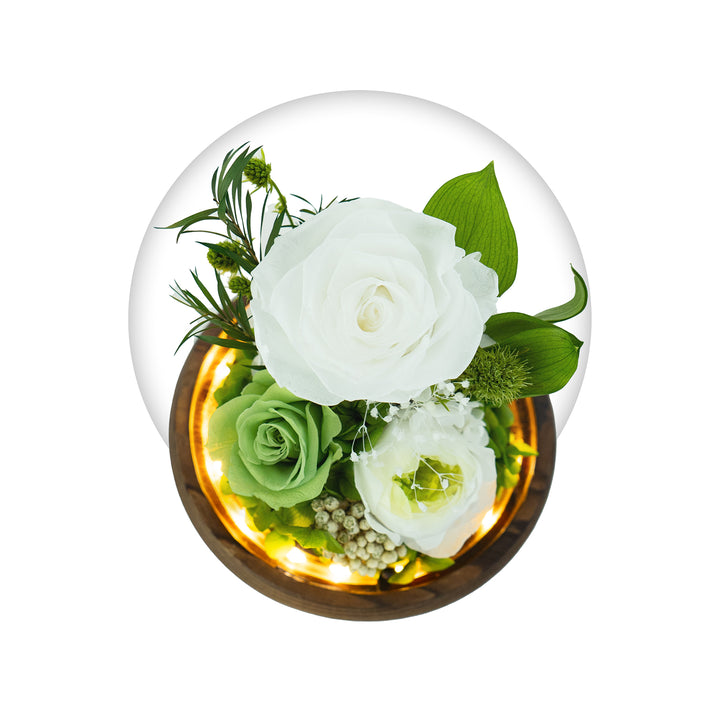 Romance Promises glass dome with a forever green preserved rose - Glamour Boutique