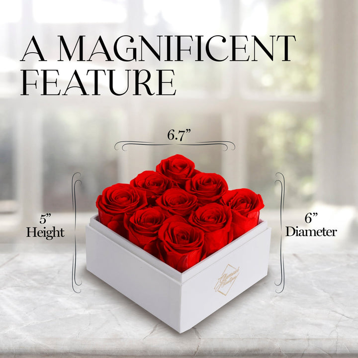 Eternal Elegance Square White | 9 Red Roses - theglamourboutiques