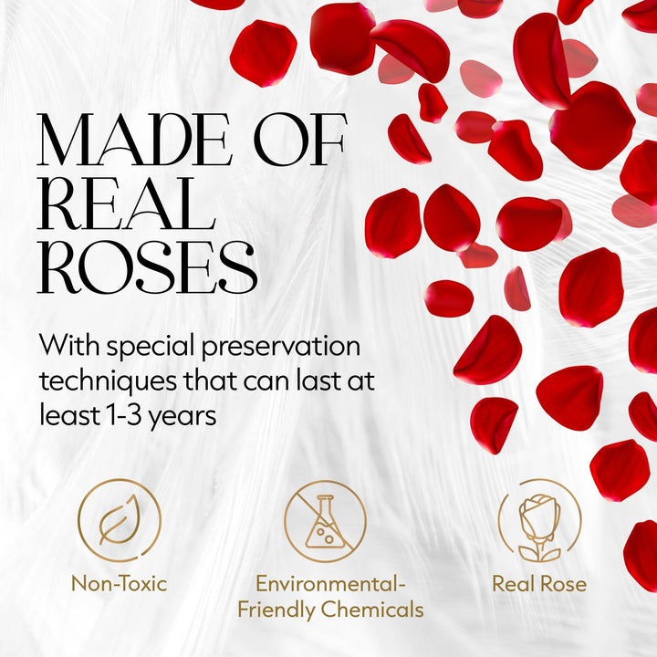 Eternal Elegance Square White | 9 Red Roses - theglamourboutiques
