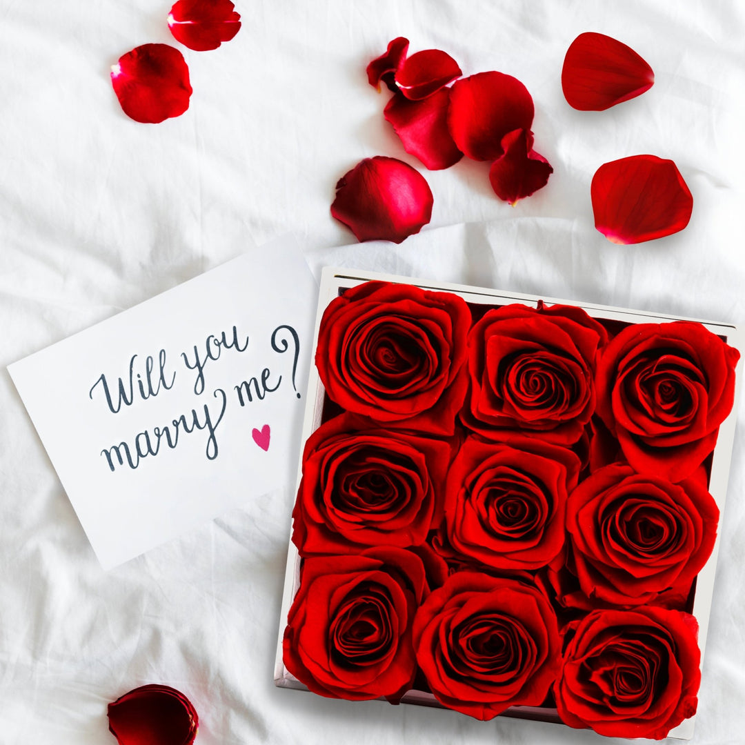 Eternal Elegance Square White | 9 Red Roses - theglamourboutiques