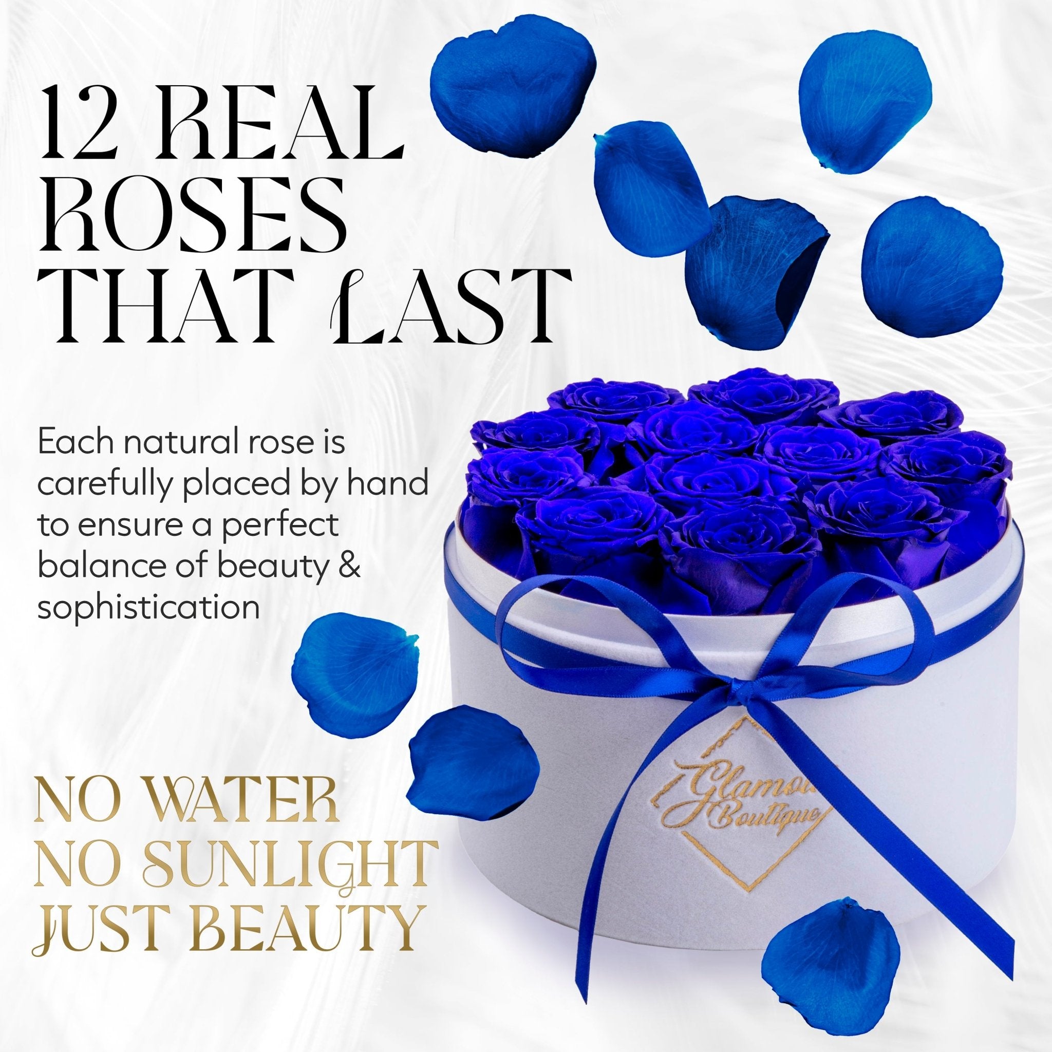 Eternal Prestige Velvet White | 12 Blue Roses– Glamour Boutique