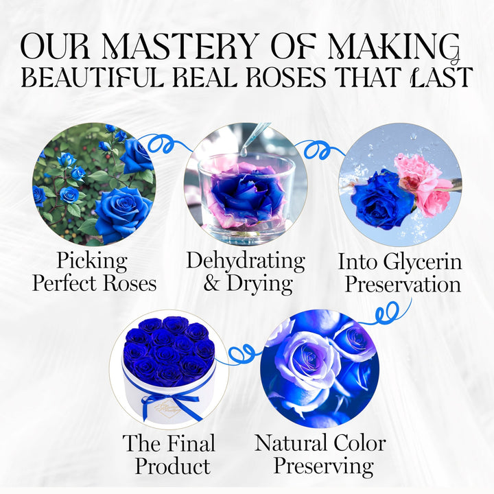 Eternal Prestige Velvet White |12 Blue Roses - theglamourboutiques