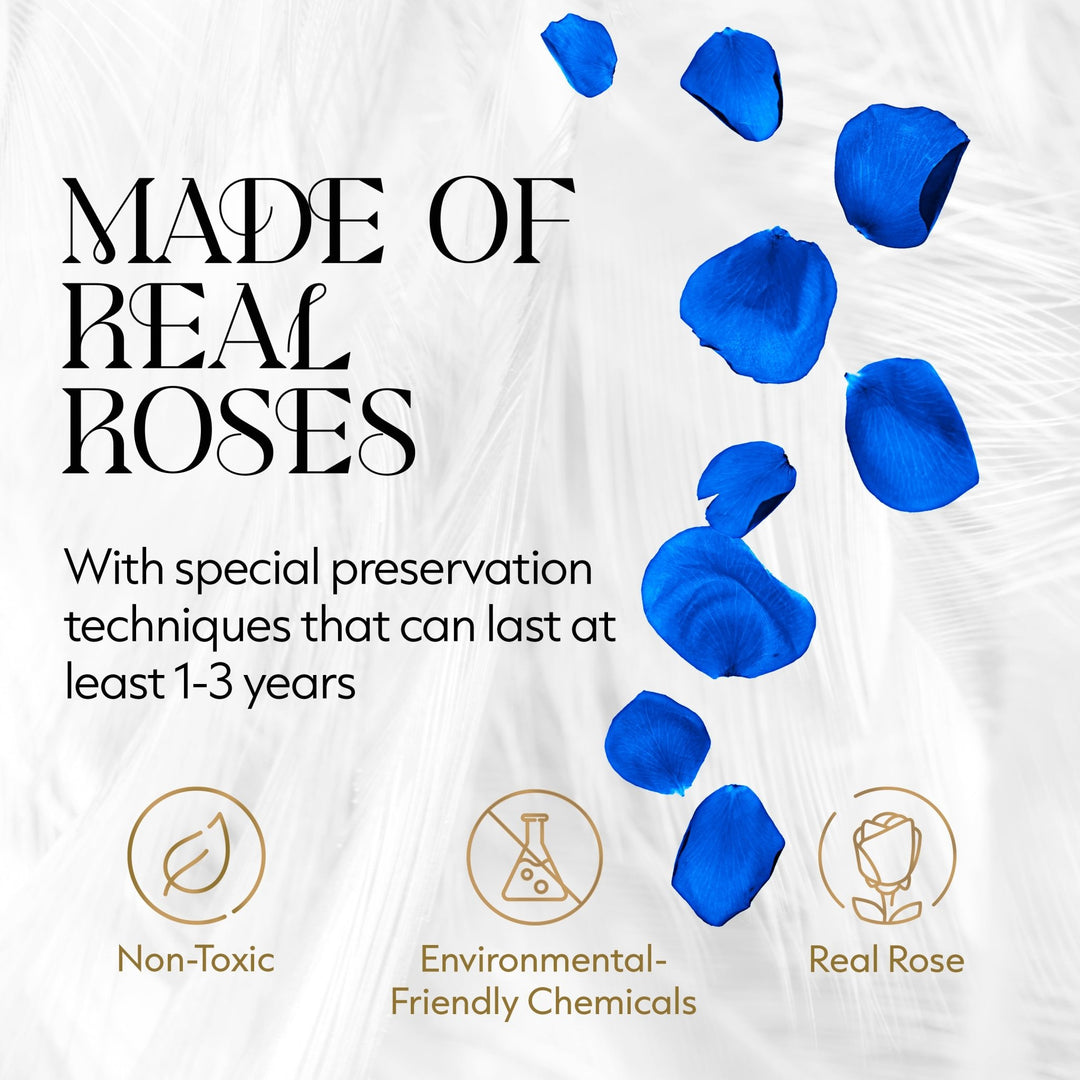 Eternal Prestige Velvet White |12 Blue Roses - theglamourboutiques
