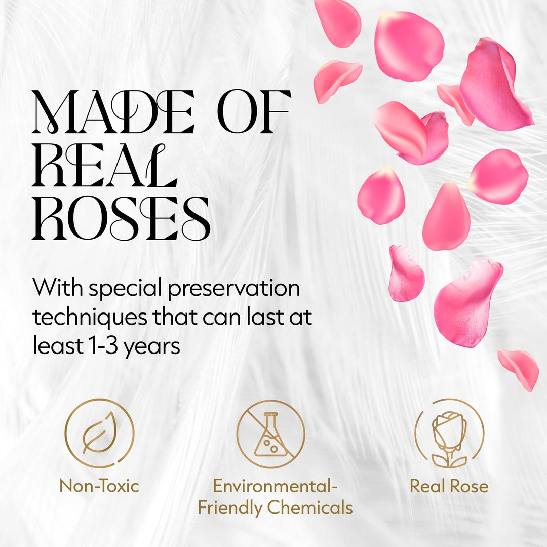 Eternal Prestige Velvet White |12 Pink Roses - Glamour Boutique