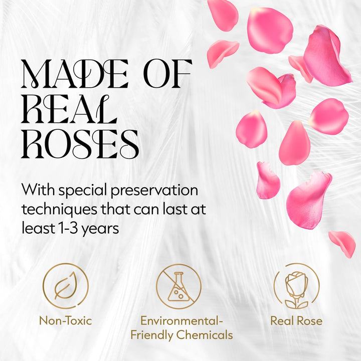 Eternal Prestige Velvet White |12 Pink Roses - Glamour Boutique