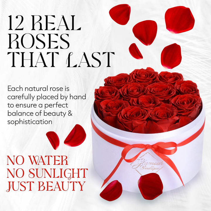 Eternal Prestige Velvet White | 12 Red Roses - theglamourboutiques