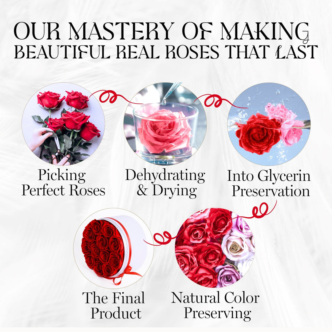 Eternal Prestige Velvet White | 12 Red Roses - theglamourboutiques