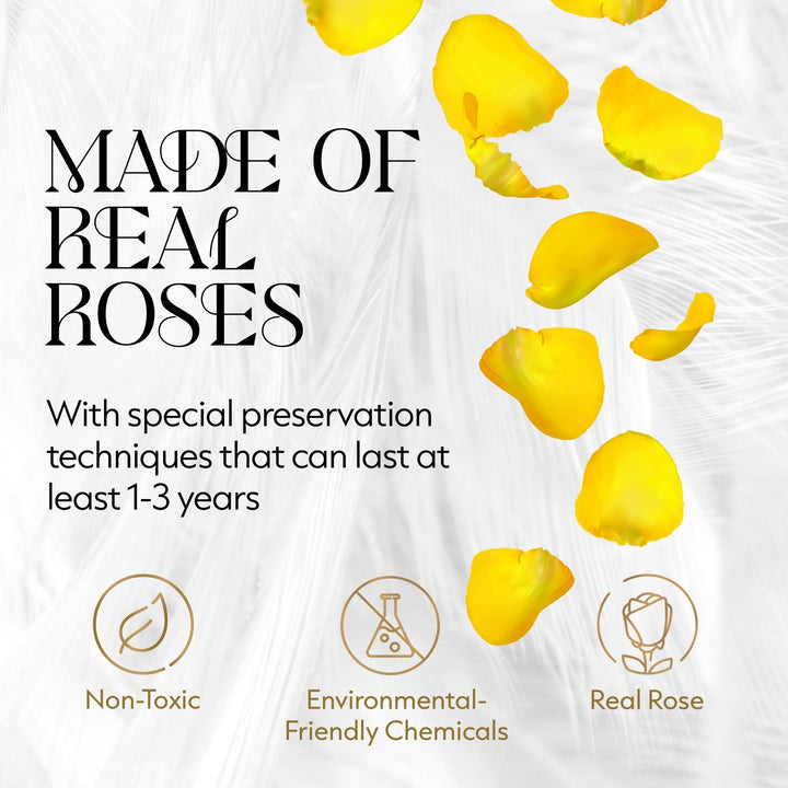 Eternal Prestige Velvet White |12 Yellow Roses - theglamourboutiques