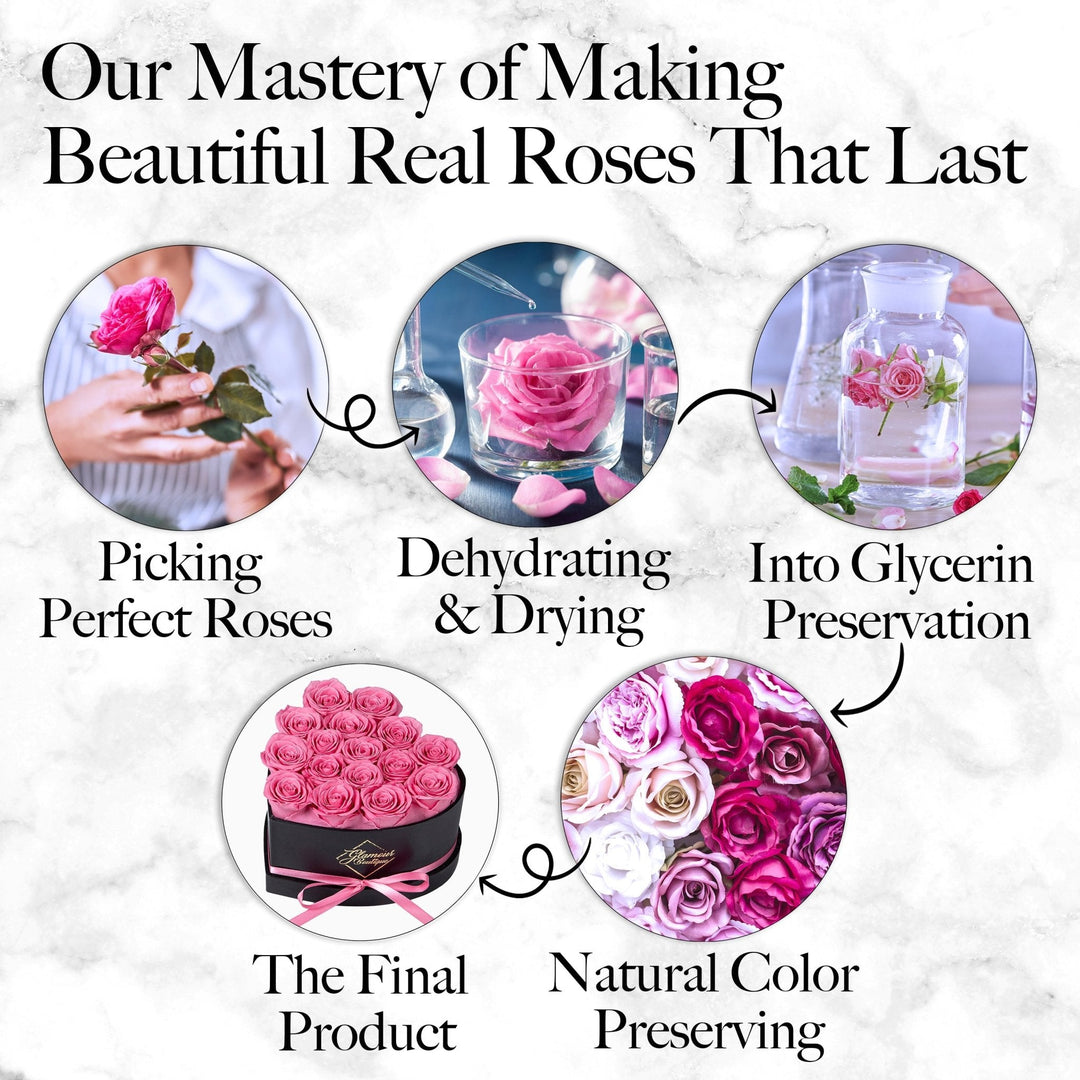 Immortal Love Heart Box |16 Pink Roses - Glamour Boutique