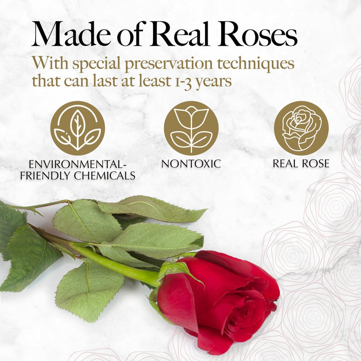 Immortal Love Heart Box |16 Red Roses - Glamour Boutique