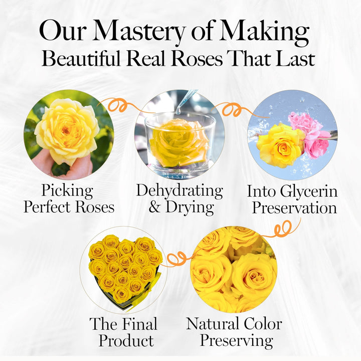 Immortal Love Heart Box |16 Yellow Roses - Glamour Boutique