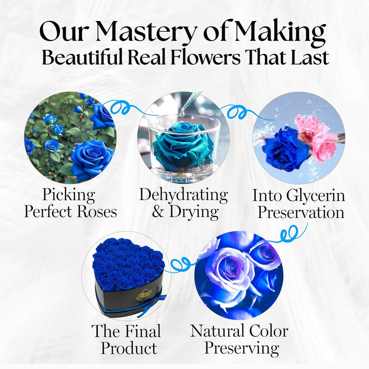 Immortal Love Heart Box | 27 Blue Roses - Glamour Boutique