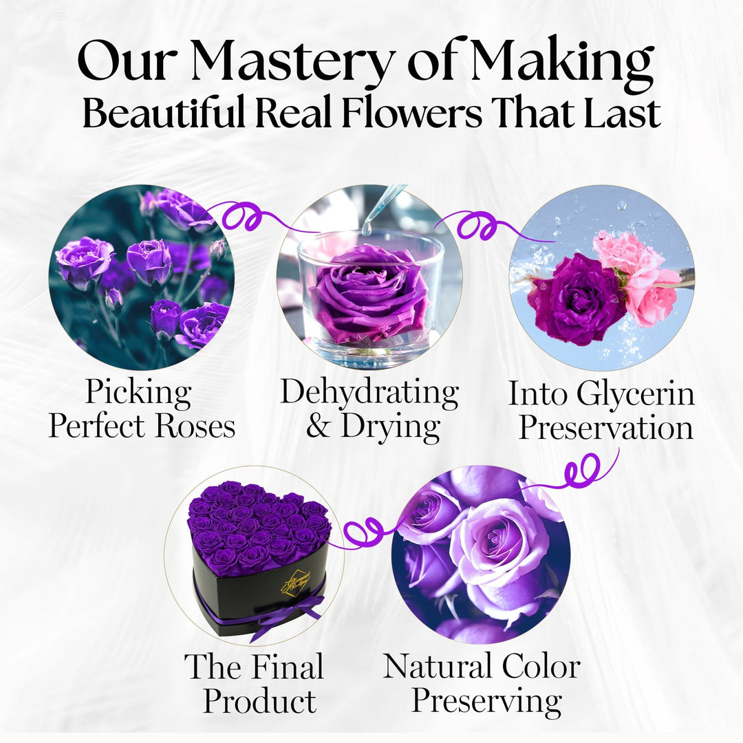 Immortal Love Heart Box |27 Purple Roses - Glamour Boutique