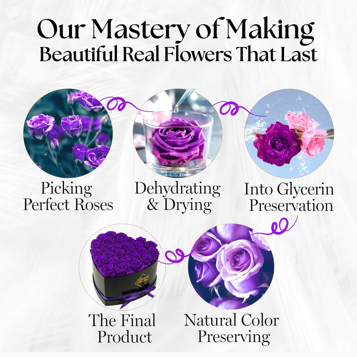 Immortal Love Heart Box |27 Purple Roses - Glamour Boutique