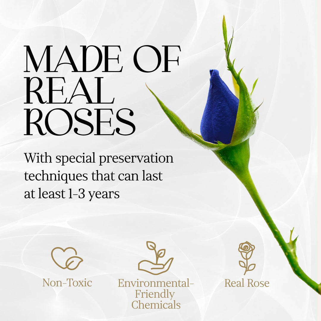 Immortal Love Heart Box | 7 Blue Roses - Glamour Boutique