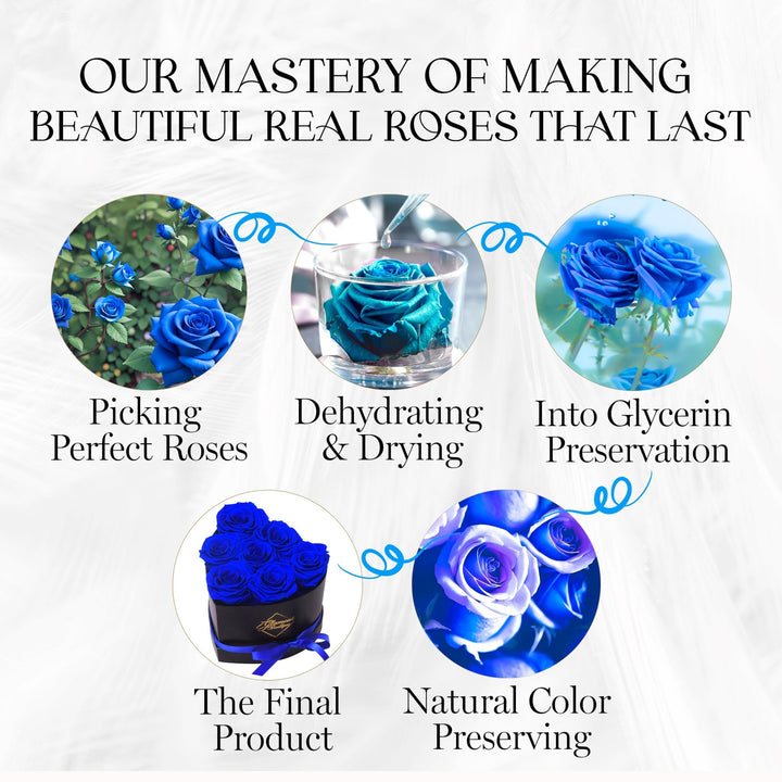 Immortal Love Heart Box | 7 Blue Roses - Glamour Boutique