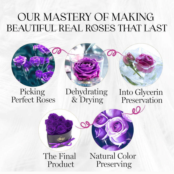 Immortal Love Heart Box | 7 Purple Roses - Glamour Boutique