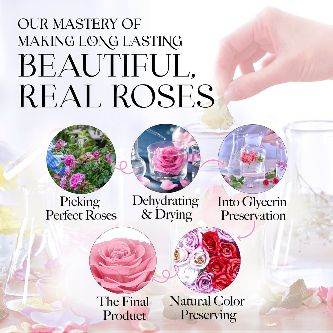 Infinite Romance Love Box with Scarf |16 Pink Roses - Glamour Boutique