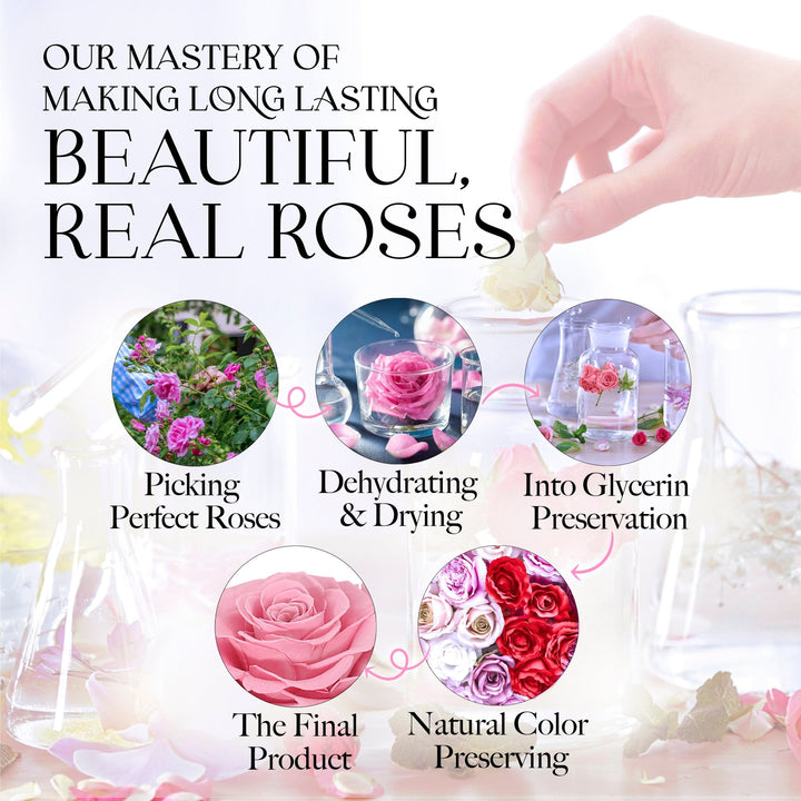 Infinite Romance Love Box with Scarf |16 Pink Roses - Glamour Boutique