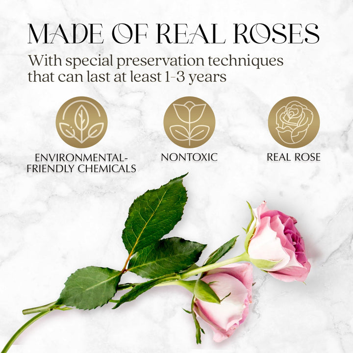 Infinite Romance Love Box with Scarf |16 Pink Roses - Glamour Boutique