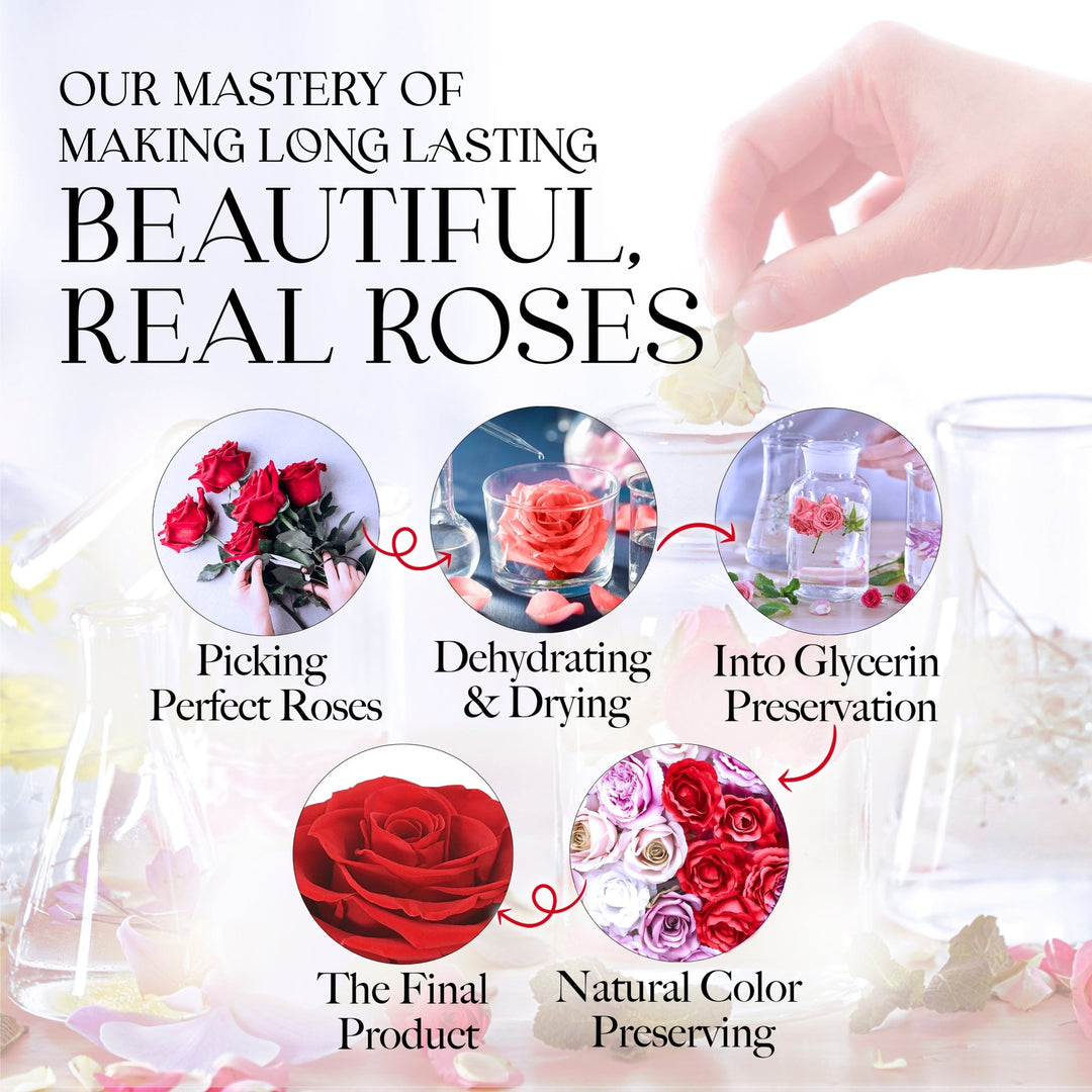 Infinite Romance Love Box with Scarf |16 Red Roses - Glamour Boutique