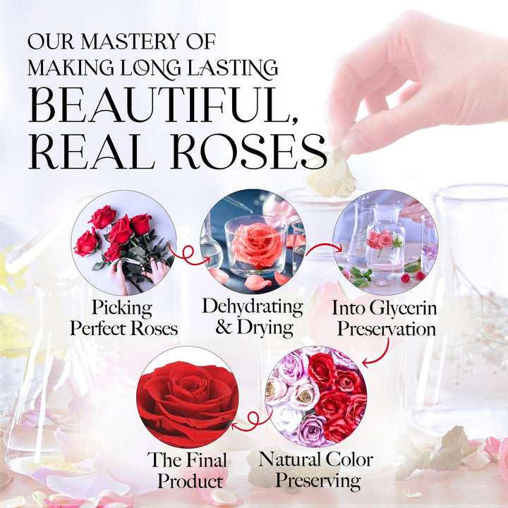 Infinite Romance Love Box with Scarf |16 Red Roses - Glamour Boutique