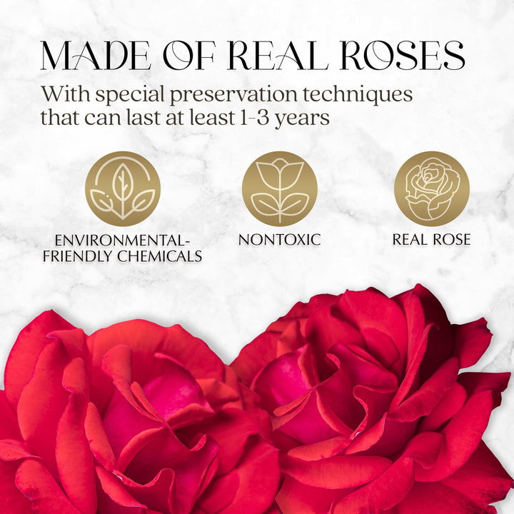 Infinite Romance Love Box with Scarf |16 Red Roses - Glamour Boutique