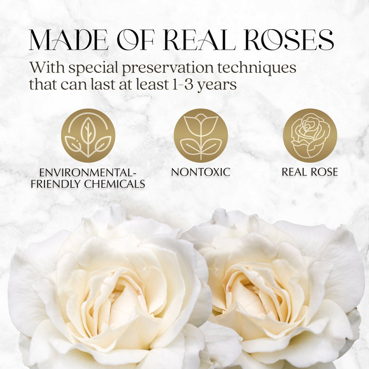 Infinite Romance Love Box with Scarf |16 White Roses - Glamour Boutique