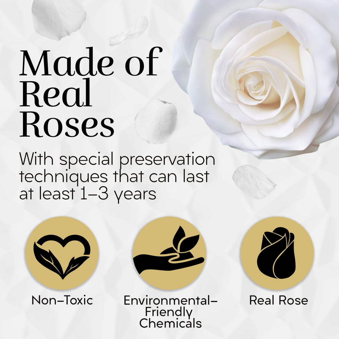 Lasting Beauty Round Black Gold Box | 12 White Roses - Glamour Boutique