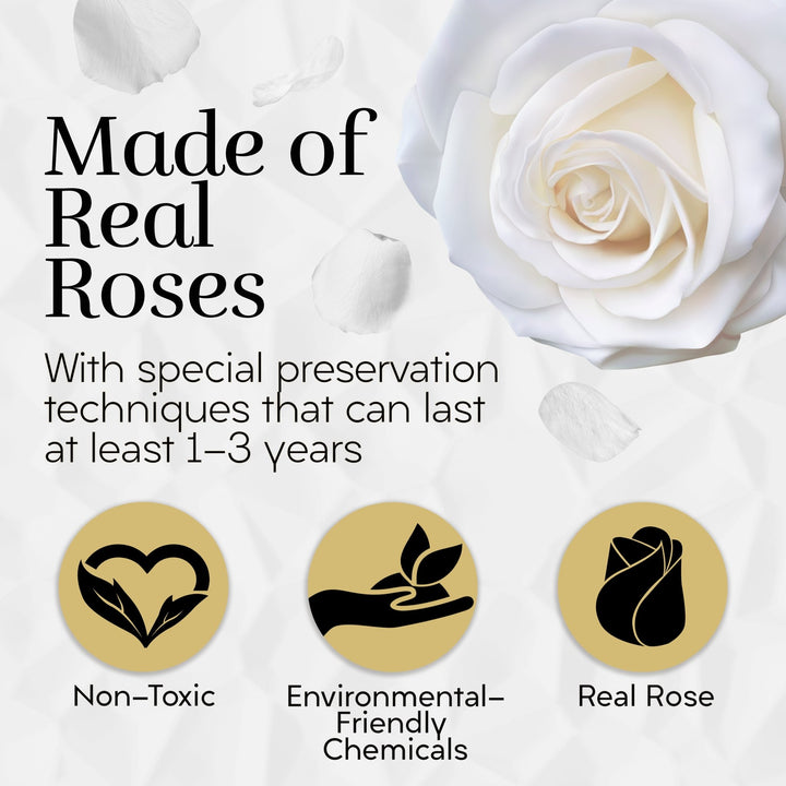 Lasting Beauty Round Black Gold Box | 12 White Roses - Glamour Boutique