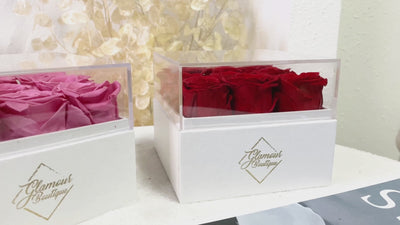 9 Preserved Roses Cased in White Box with Acrylic Cover - Red