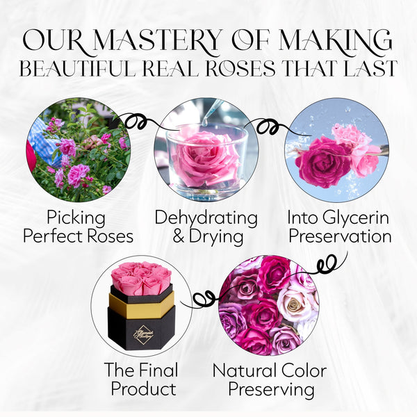 Timeless Charm Hexagon Black Box | 7 Pink Roses - Glamour Boutique