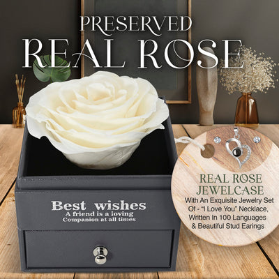 Everlasting Grace Forever Rose With Necklace | White